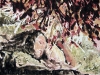 19-traum-ueber-organisches-aquarell-29-8x39-8-cm-4-1986