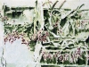 34-schiffswrack-studie-aquarell-28-2x42-4-cm-4-1987