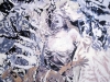 marterstation-3-medea-oelahartf-173x120-cm-6-1989